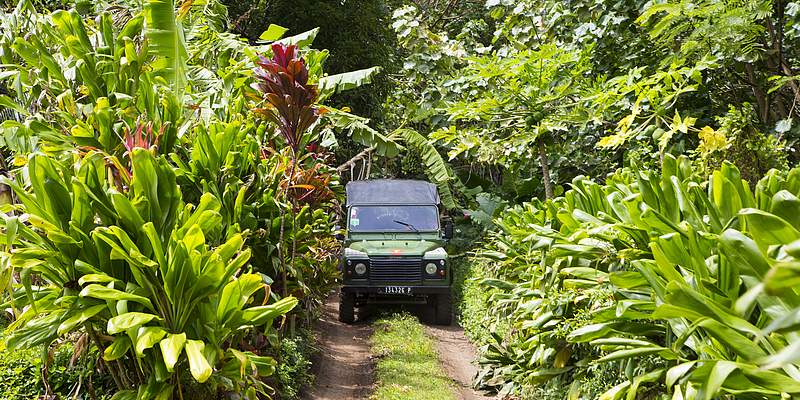 jeep safari tours bora bora peintre emmanuel masson faanui vallée