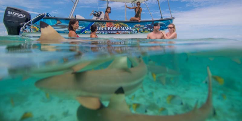 Bora Bora combo snorkeling jeep safari tupuna tours